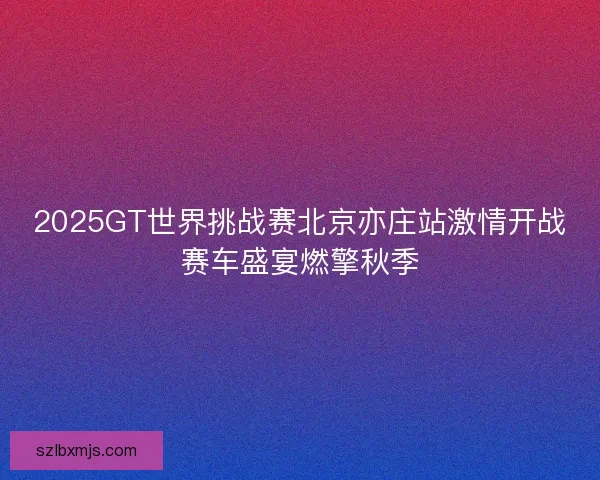 2025GT世界挑战赛北京亦庄站激情开战赛车盛宴燃擎秋季