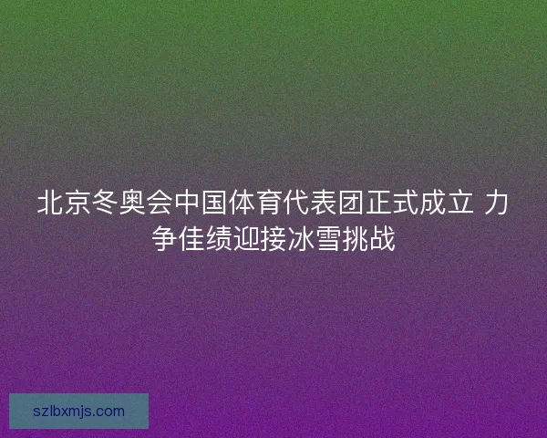 北京冬奥会中国体育代表团正式成立 力争佳绩迎接冰雪挑战
